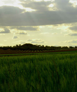 Alternative view of Agrosumidero de El Acebrón (Cuenca)