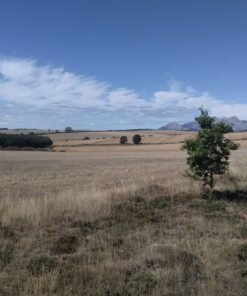 Alternative view of Agrosumidero de Castrejón de la Peña (Palencia)