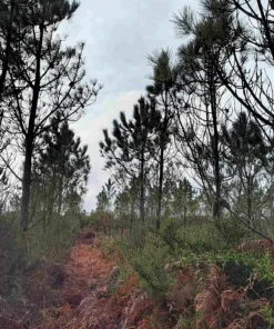Alternative view of CarbonCatcher 07