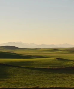Agrosumidero de Montealegre de Campos I (Palencia)