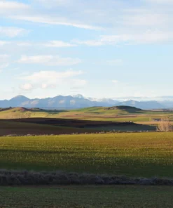 Agrosumidero de Pajares de Oteros I (Palencia)