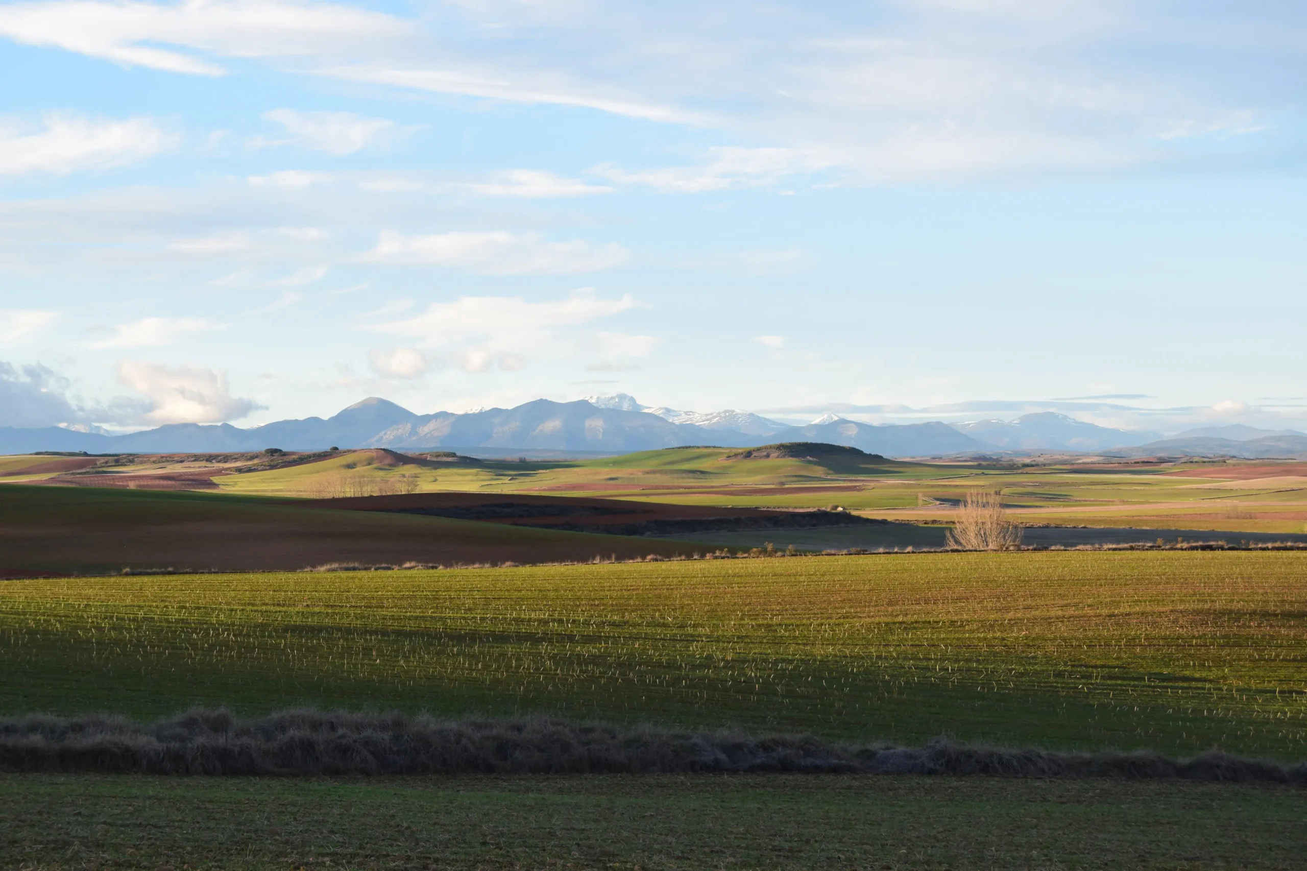 Agrosumidero de Villamontán de la Valduerna I (Palencia) - Imagen 4