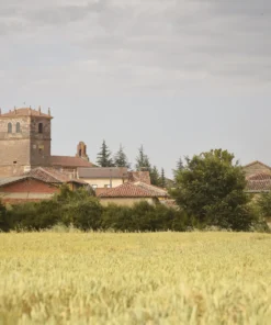 Agrosumidero de Páramo de Boedo I (Palencia)
