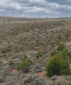 Alternative view of CarbonCatcher 11