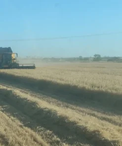 Alternative view of Agrosumidero de Bustillo de la Vega I (Palencia)