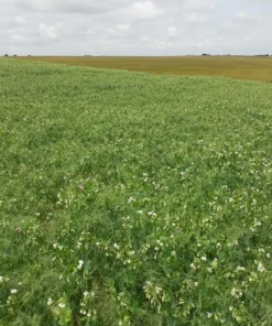 Alternative view of Agrosumidero de Espinosa de Cerrato II (Palencia)